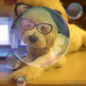 Meet your Posher, Johnny